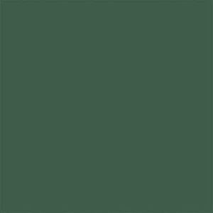 Meet your Posher, Carleigh